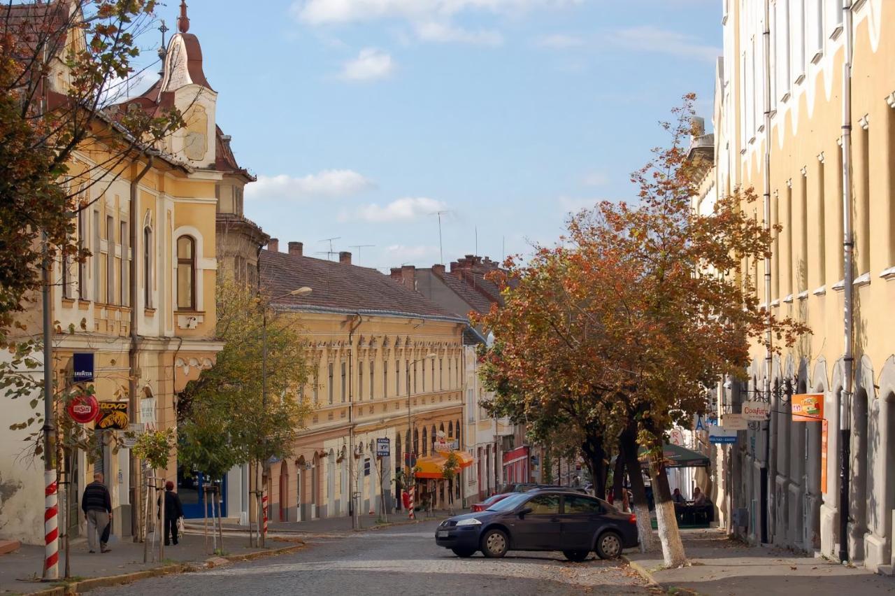 Butterfly Apartment-Hidden Gem In The Heart Of Târgu-Mureş Exteriör bild